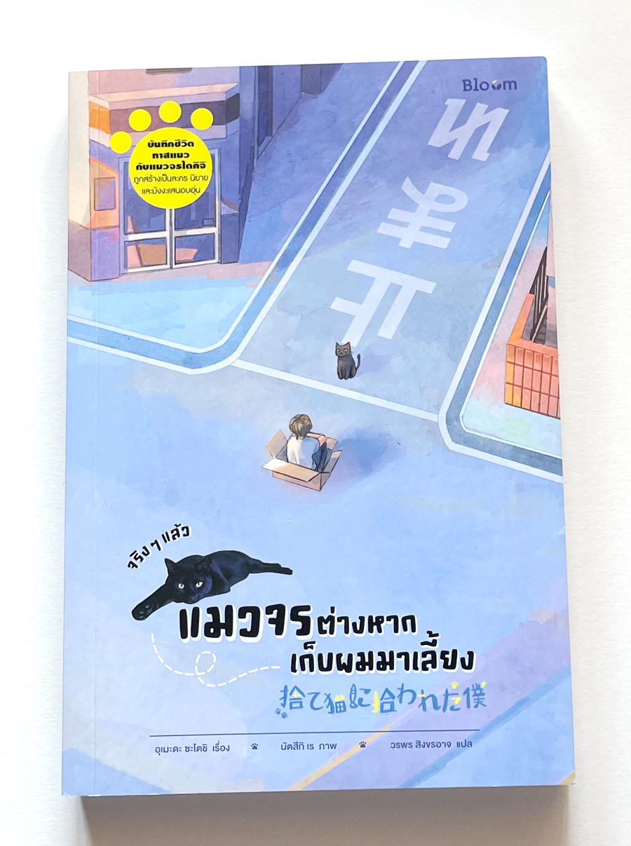 จริงๆ แล้วแมวจรต่างหาก เก็บผมมาเลี้ยง