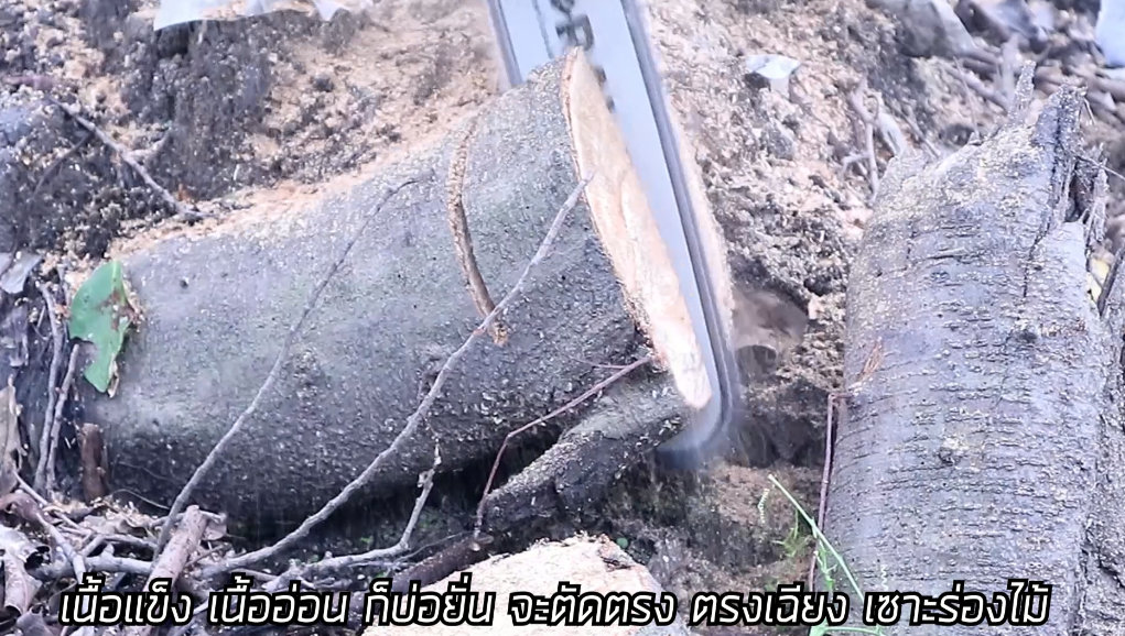 BERALA เลื่อยยนต์ BL-59X บาร์โซ่ยาว 11.5นิ้ว 2 จังหวะรุ่นใหม่