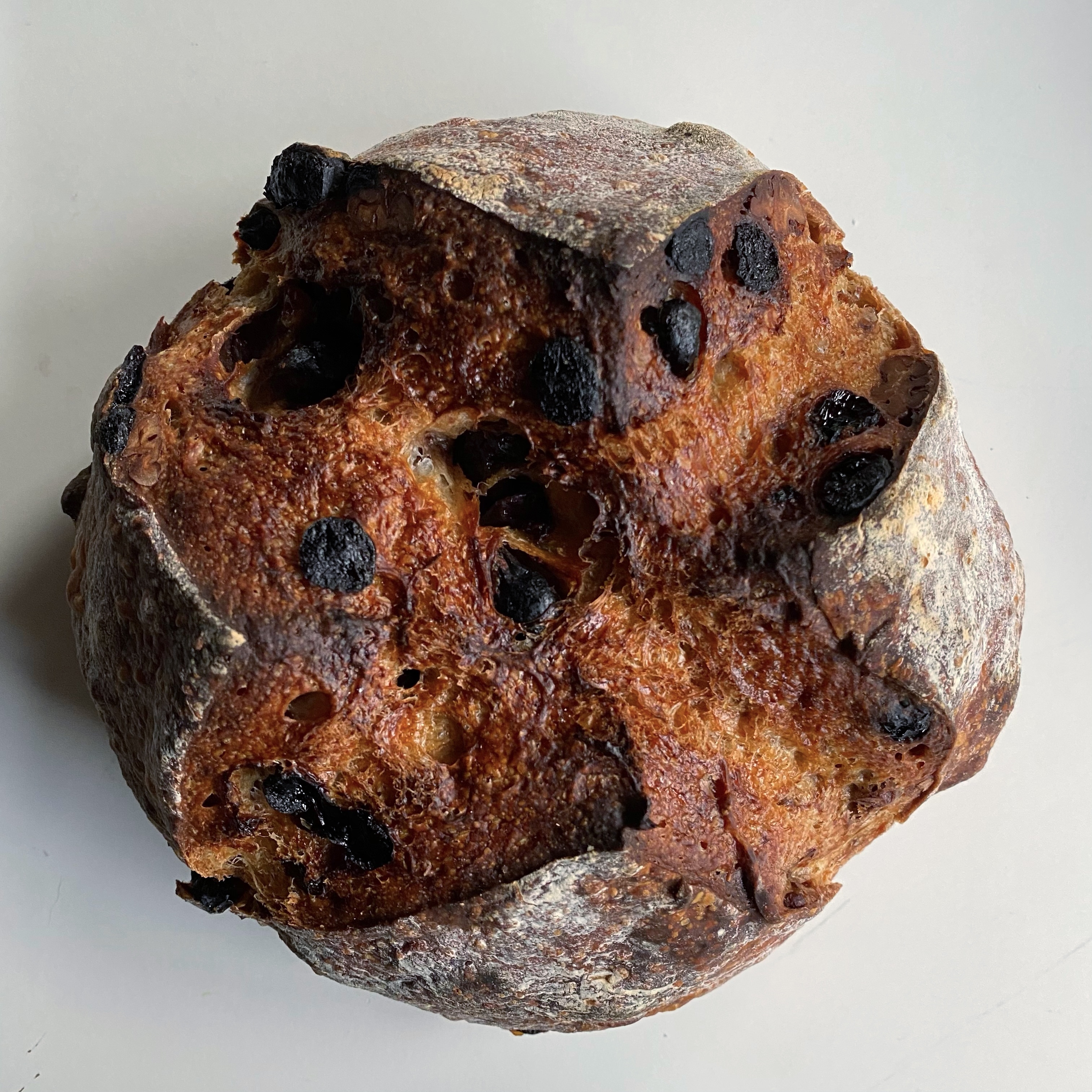 Ⓥ Raisins Cinnamon Pecan Sourdough Loaf (16% Whole Wheat, about 550g.)