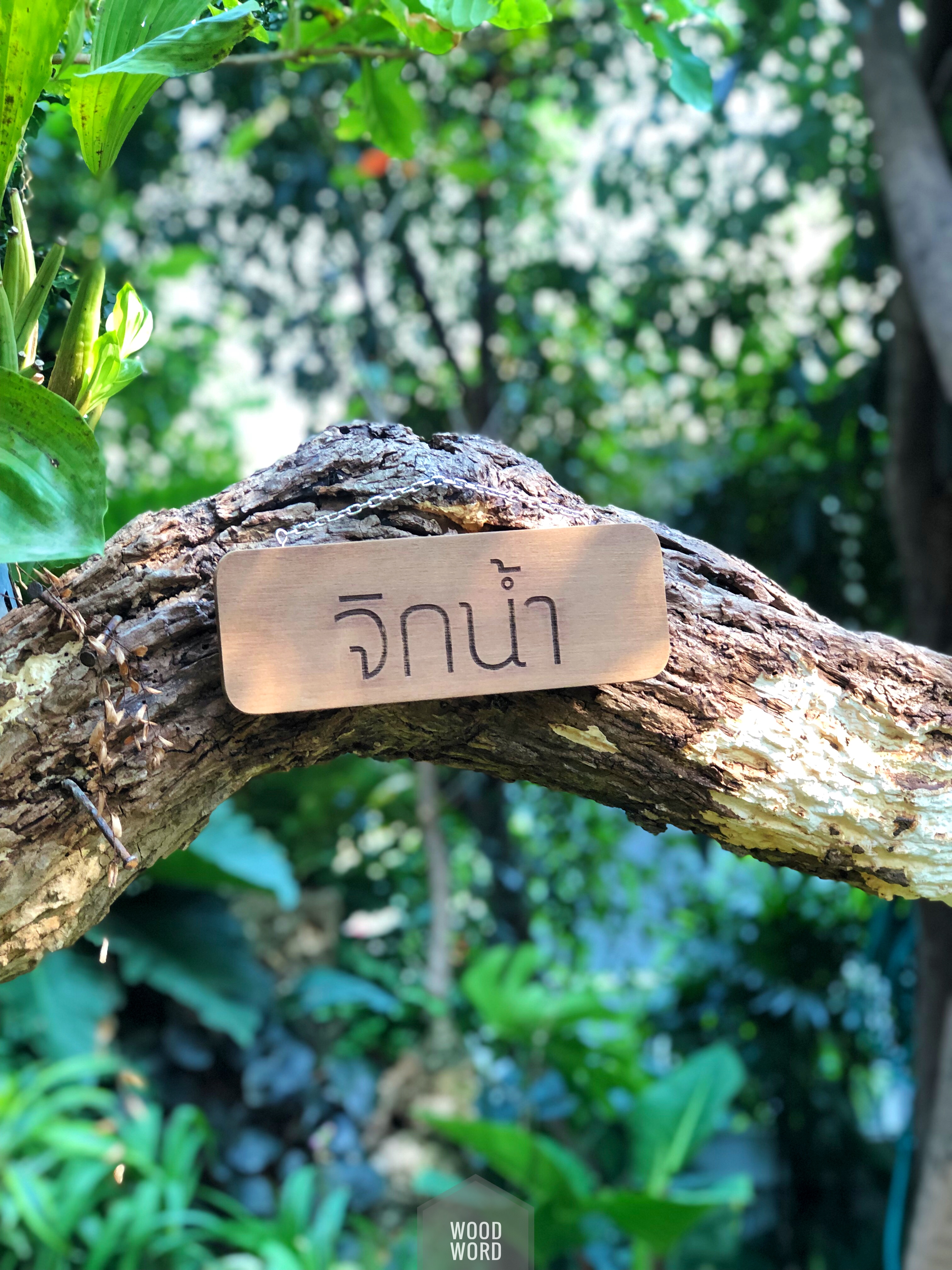 ป้ายชื่อต้นไม้