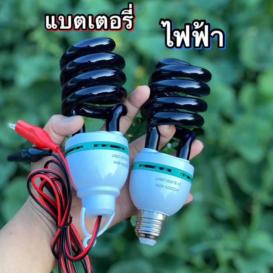 หลอดไฟแบล็คไลท์ ล่อแมลงแท้ ล่อแมลงบินทุกชนิด