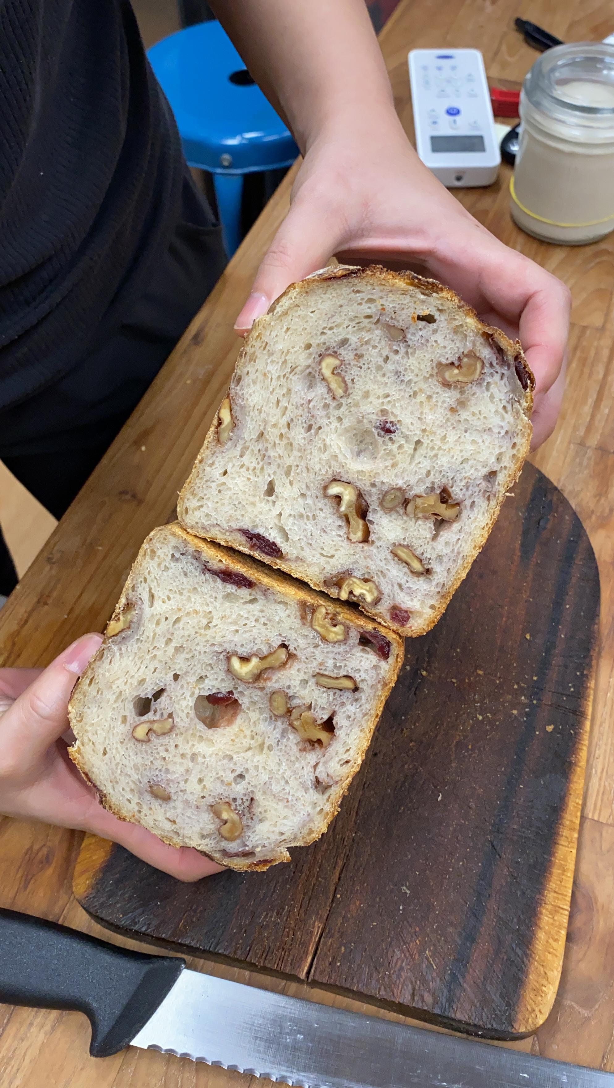 Ⓥ Walnut Cranberry Sourdough Tin (16% Whole Wheat, about 650g.)
