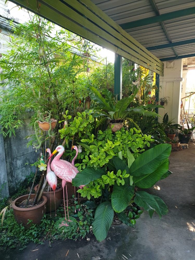 ขาย บ้านเดี่ยว รังสิต – นครนายก