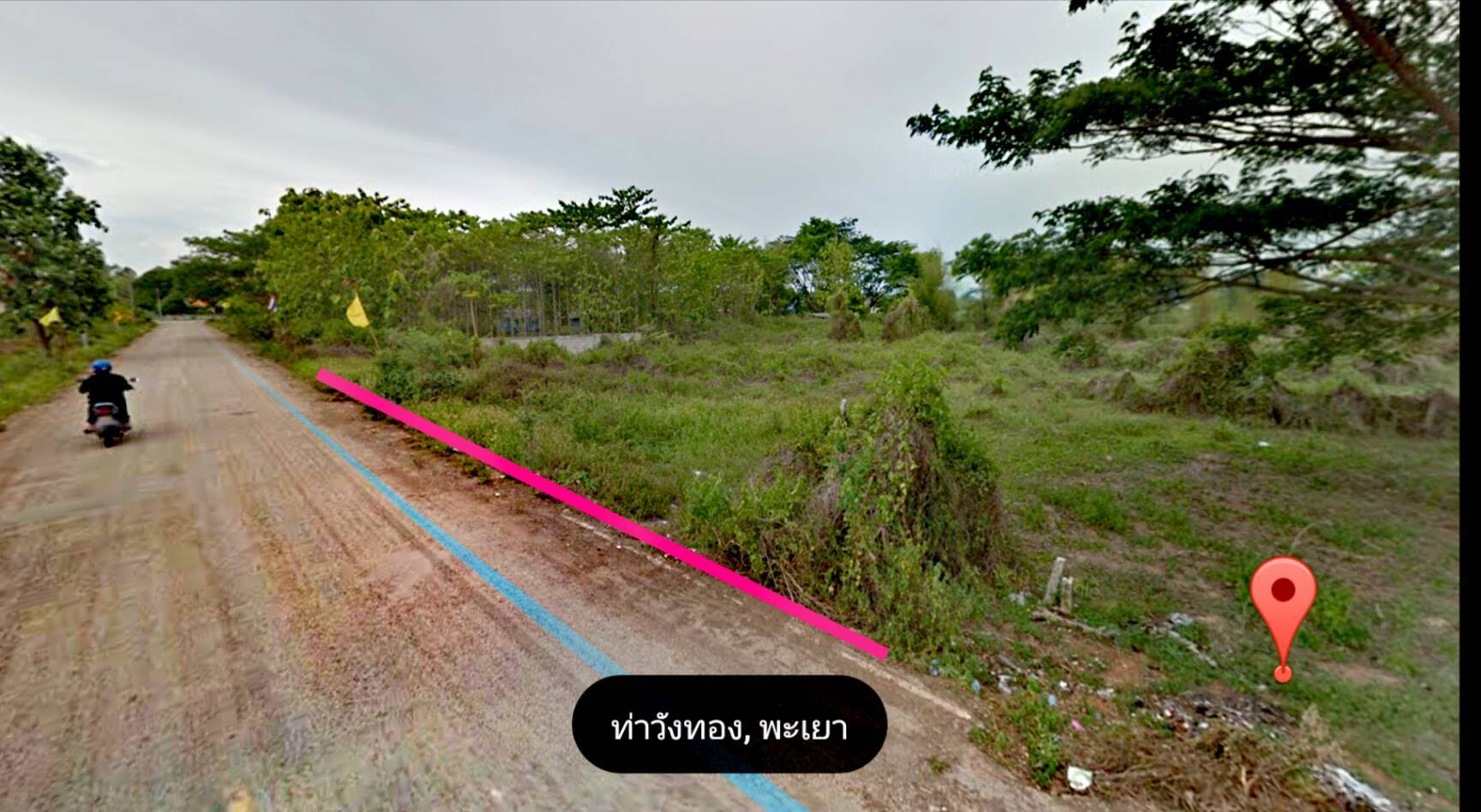 ขายที่ดิน วังทอง เมืองพะเยา