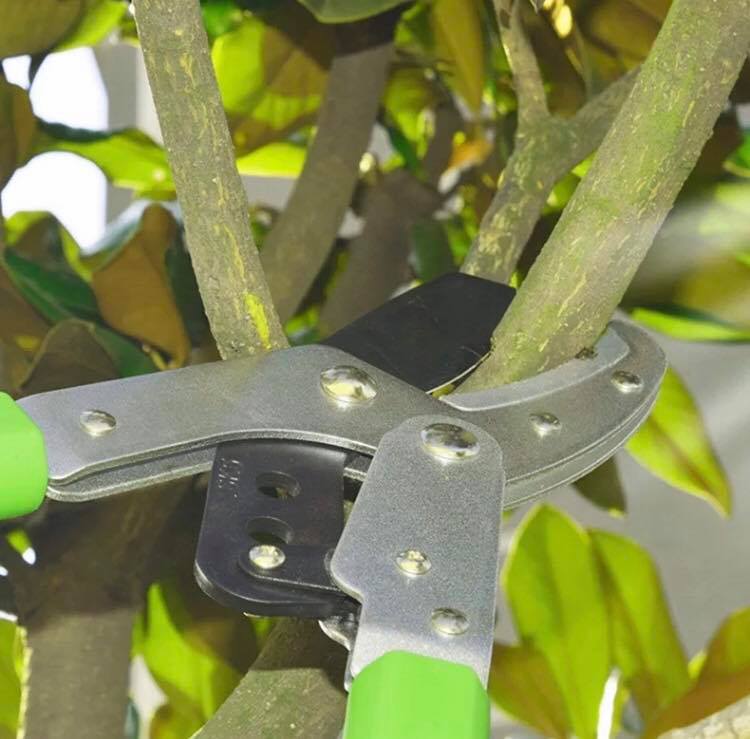 กรรไกรตัดกิ่งสูงยึดได้ OSUKA