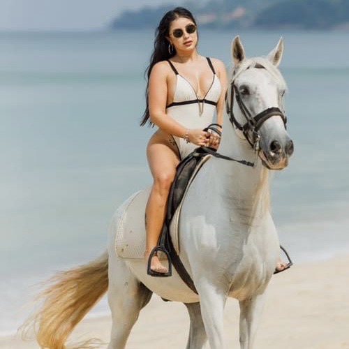 Horse Riding 1 Hour On The Beach Or Mountain