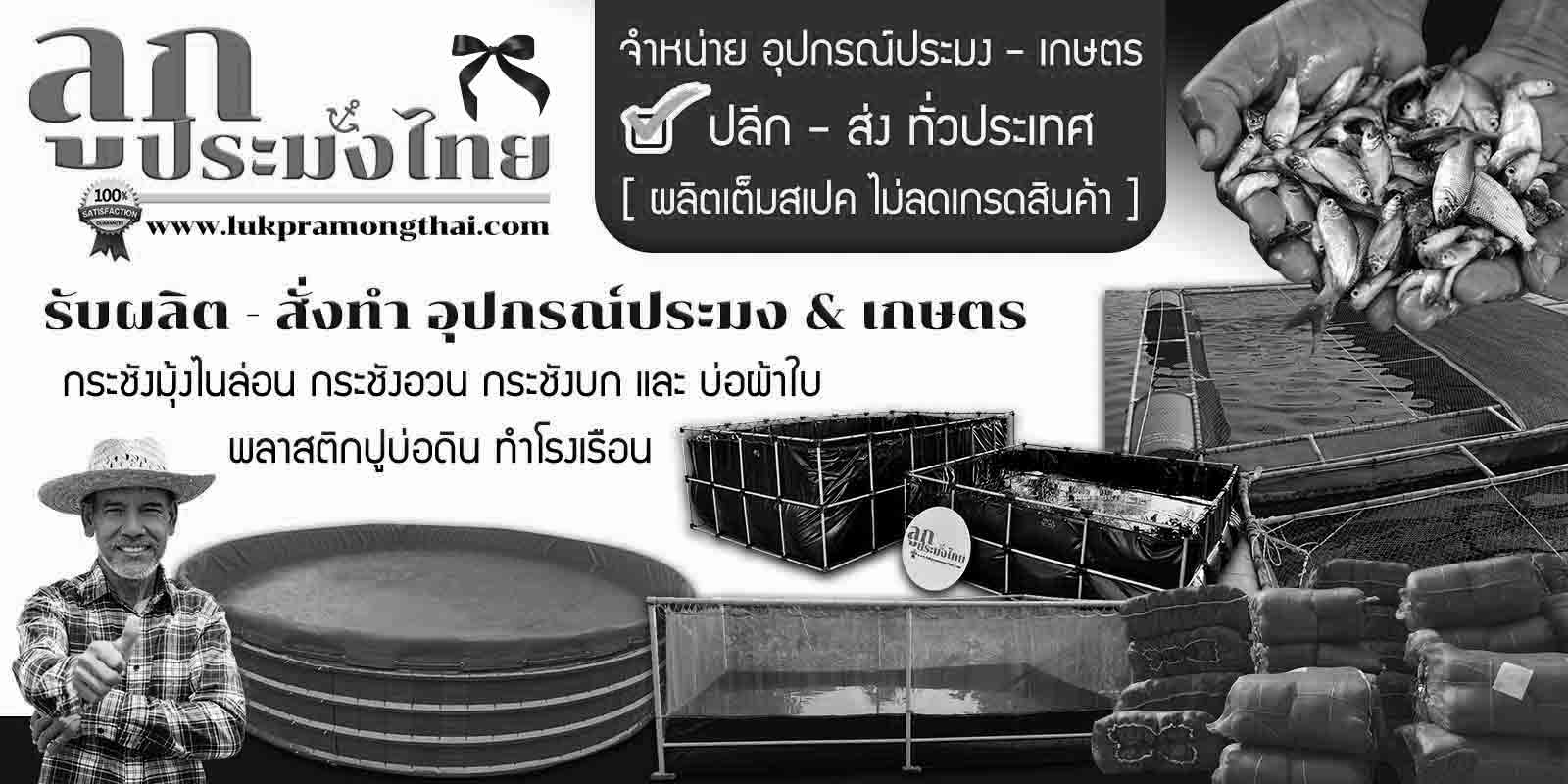 ลูกประมงไทย
