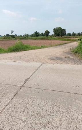 ขายที่นา ต.เมืองฝ้าย อ.หนองหงส์ จ.บุรีรมย์