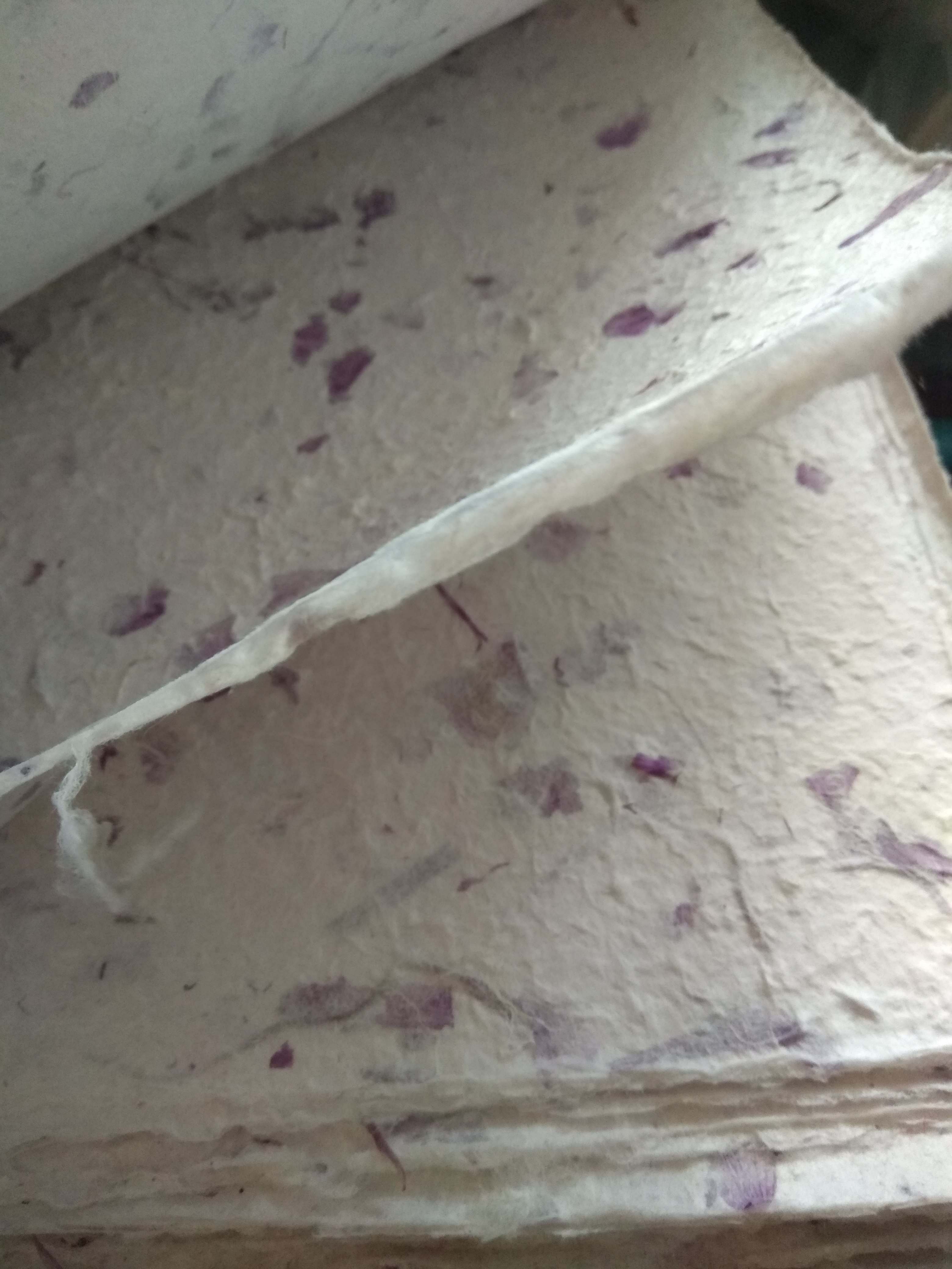 กระดาษสา ใส่เปลือกรกะเทียมสี ม่วง