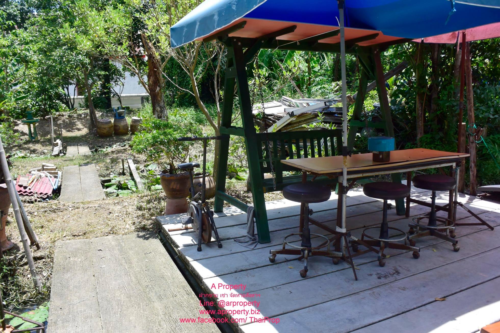 ขายบ้านเดี่ยว บรรยากาศสวน ต่ำกว่าราคาประเมิน