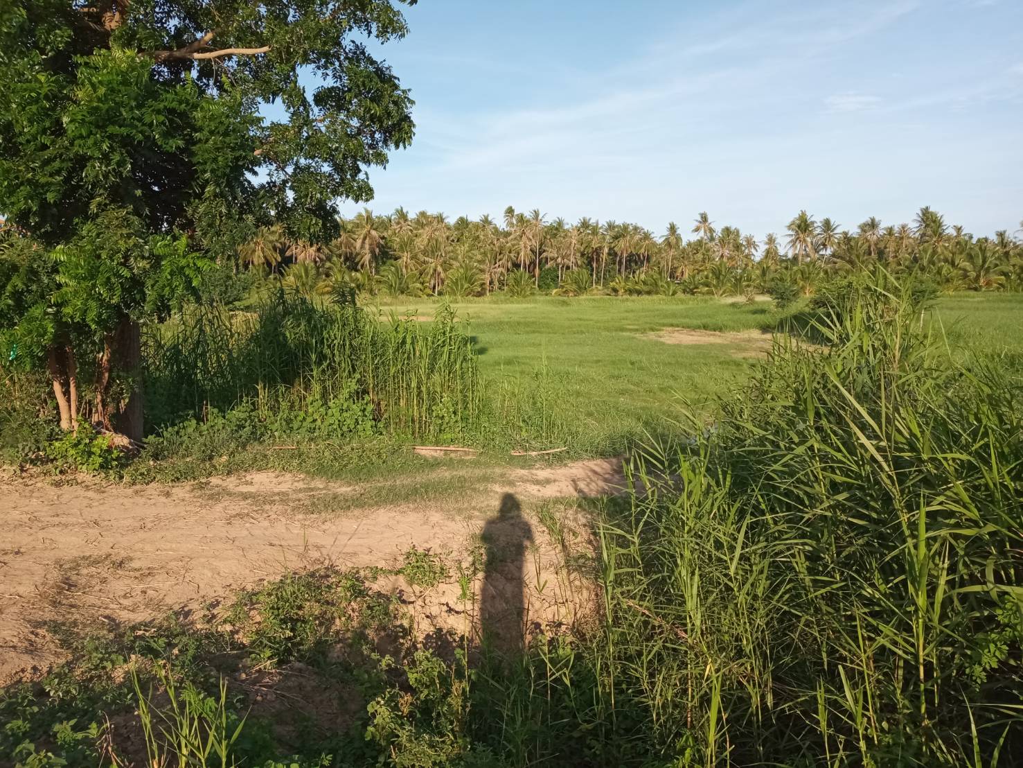 ขายที่ดิน ใกล้เเหล่งชุมชน ที่ดินตั้งอยู่ในเขตเทศบาลกุยบุรี จ.ประจวบ ฯ
