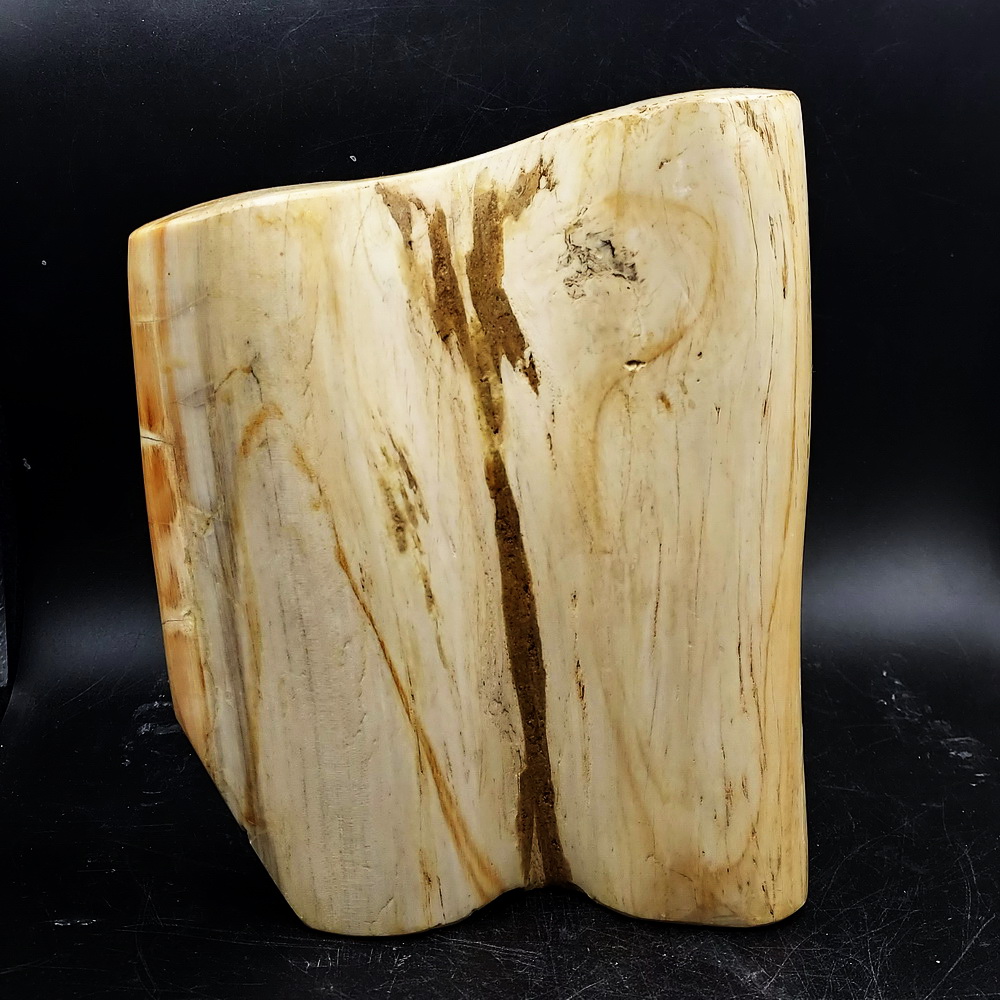 ไม้กลายเป็นหินขัดมัน ทรงภูเขา Petrified Wood (3.2 กิโกกรัม, 21x17x8ซม.)