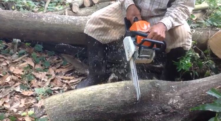 เครื่องเลื่อยยนต์ STHIL รุ่น MS180 แท้