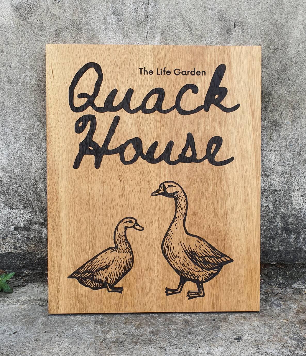 ป้ายฟาร์ม