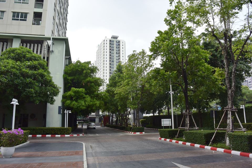 ลุมพินีพาร์ค ปิ่นเกล้า