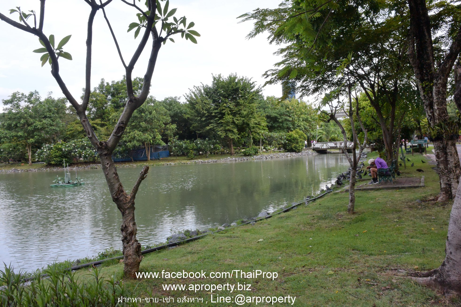ให้เช่า คอนโด 3 ห้องนอน ขนาด 118 ต.ร.ม ติดรถไฟฟ้าศูนย์ราชการนนทร