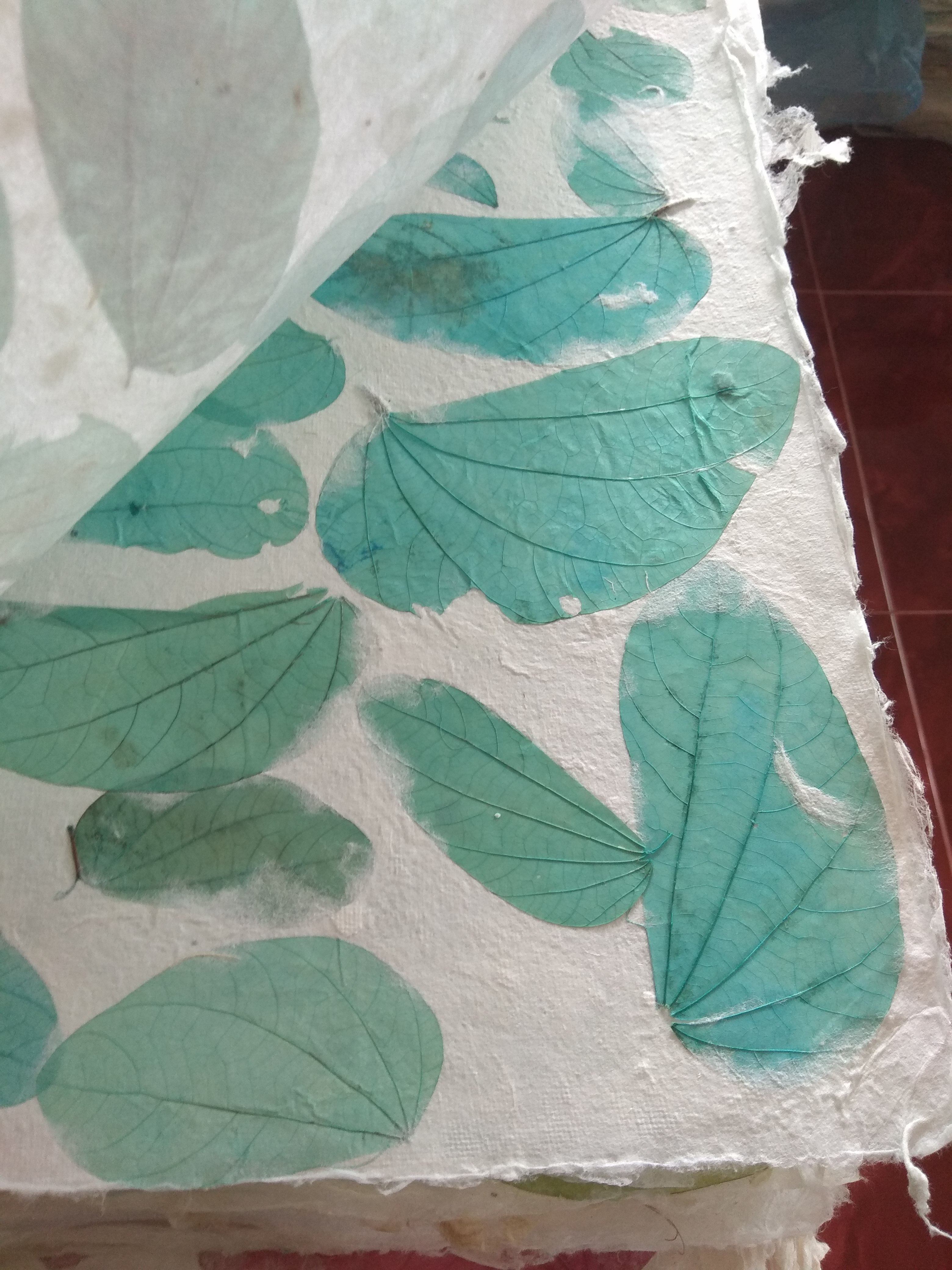 กะดาษสา ใส่ใบไม้ มีทุกสี