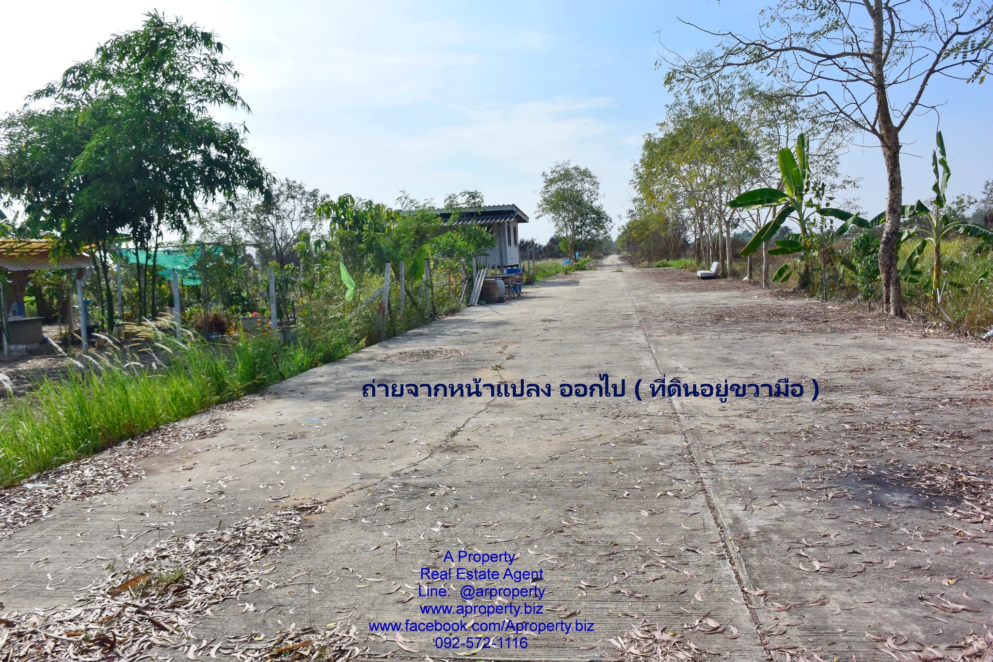 ขายที่ดินเปล่า ต. บึงกาสาม หนองเสือ ปทุม ถูกมาก เหมาะสร้างที่อยู่อาศัย