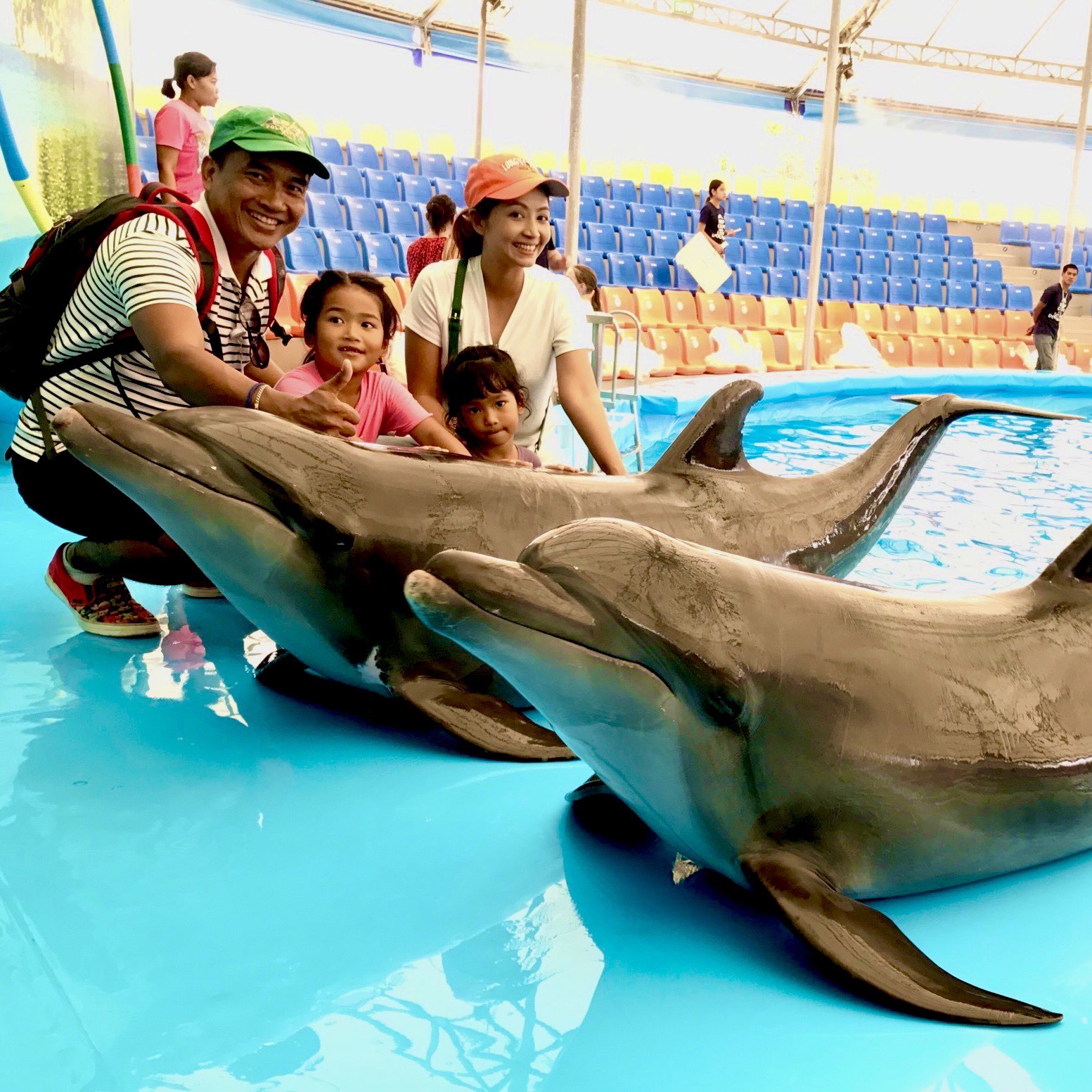 Dolphin Show Regular Seat
