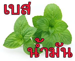 OBMT กลิ่นมิ้นท์ (น้ำมัน) Mint Flavor (Oil Based)