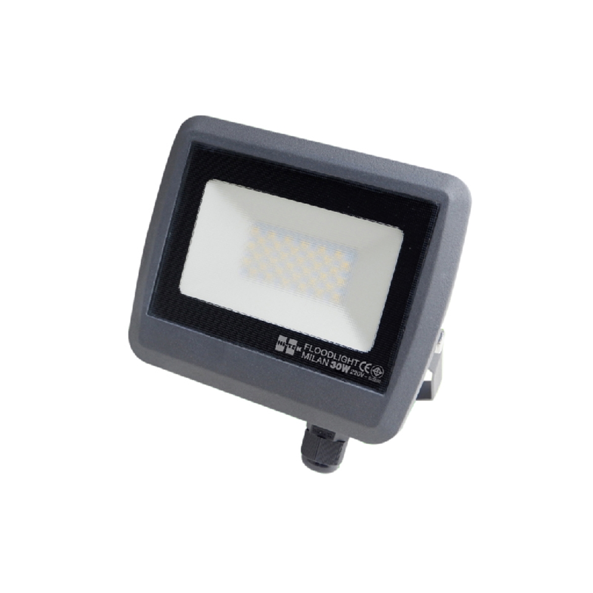 HI-TEK สปอร์ตไลท์ LED 30 วัตต์ IP65 มิลาน (DAYLIGHT)