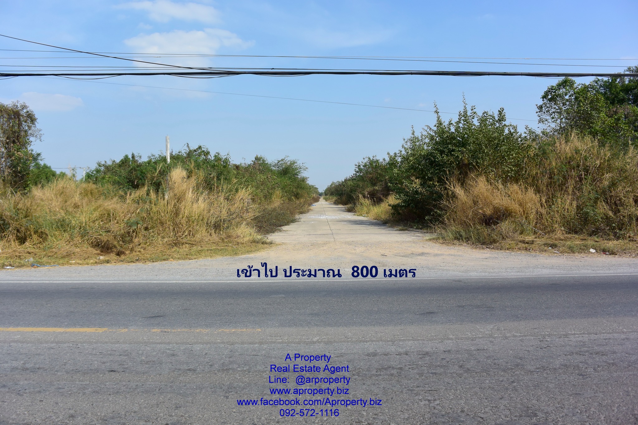 ขายที่ดินเปล่า ต. บึงกาสาม หนองเสือ ปทุม ถูกมาก เหมาะสร้างที่อยู่อาศัย