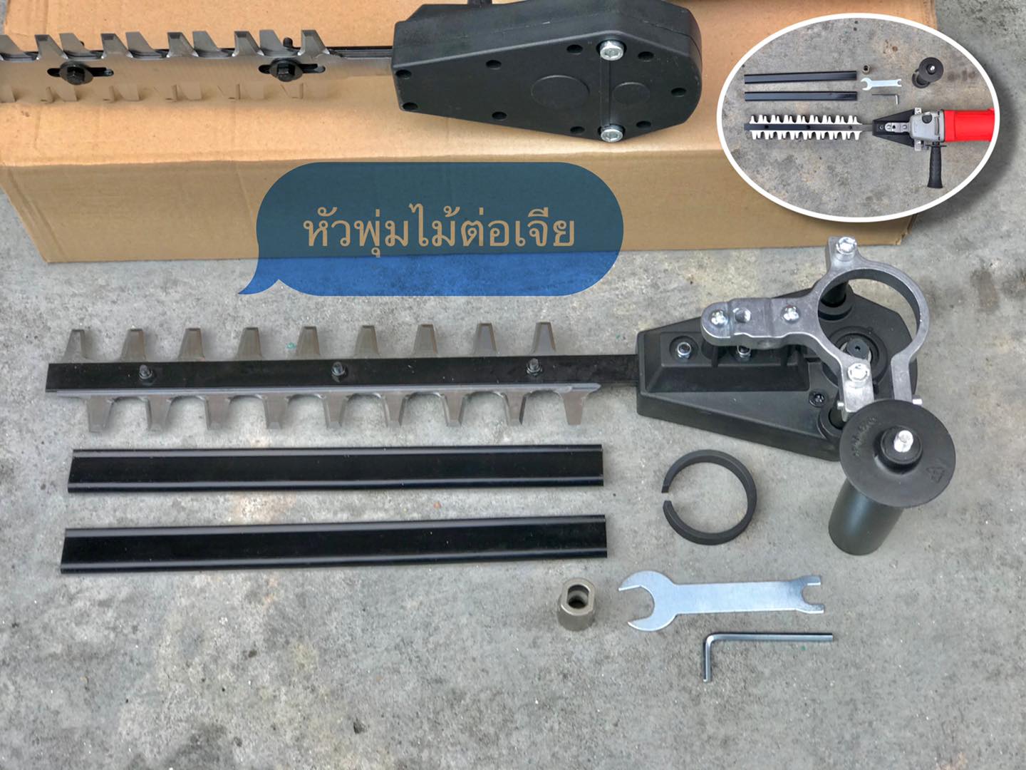 หัวพุ่มไม้ต่อเจีย 4 นิ้ว