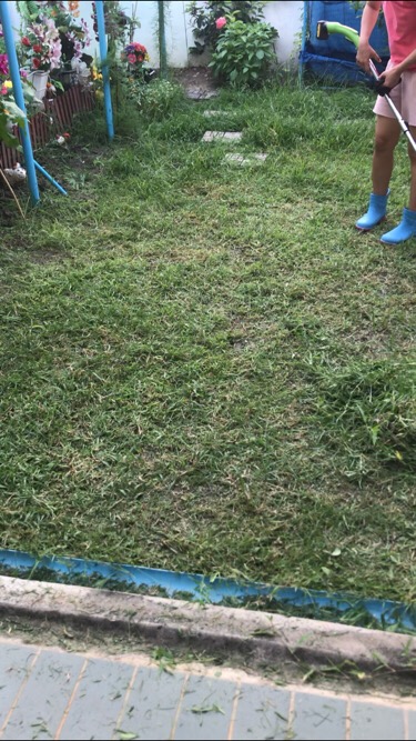 เครื่องตัดหญ้าไร้สาย GOBOSS 24V ของแท้ แบตก้อนใหญ่