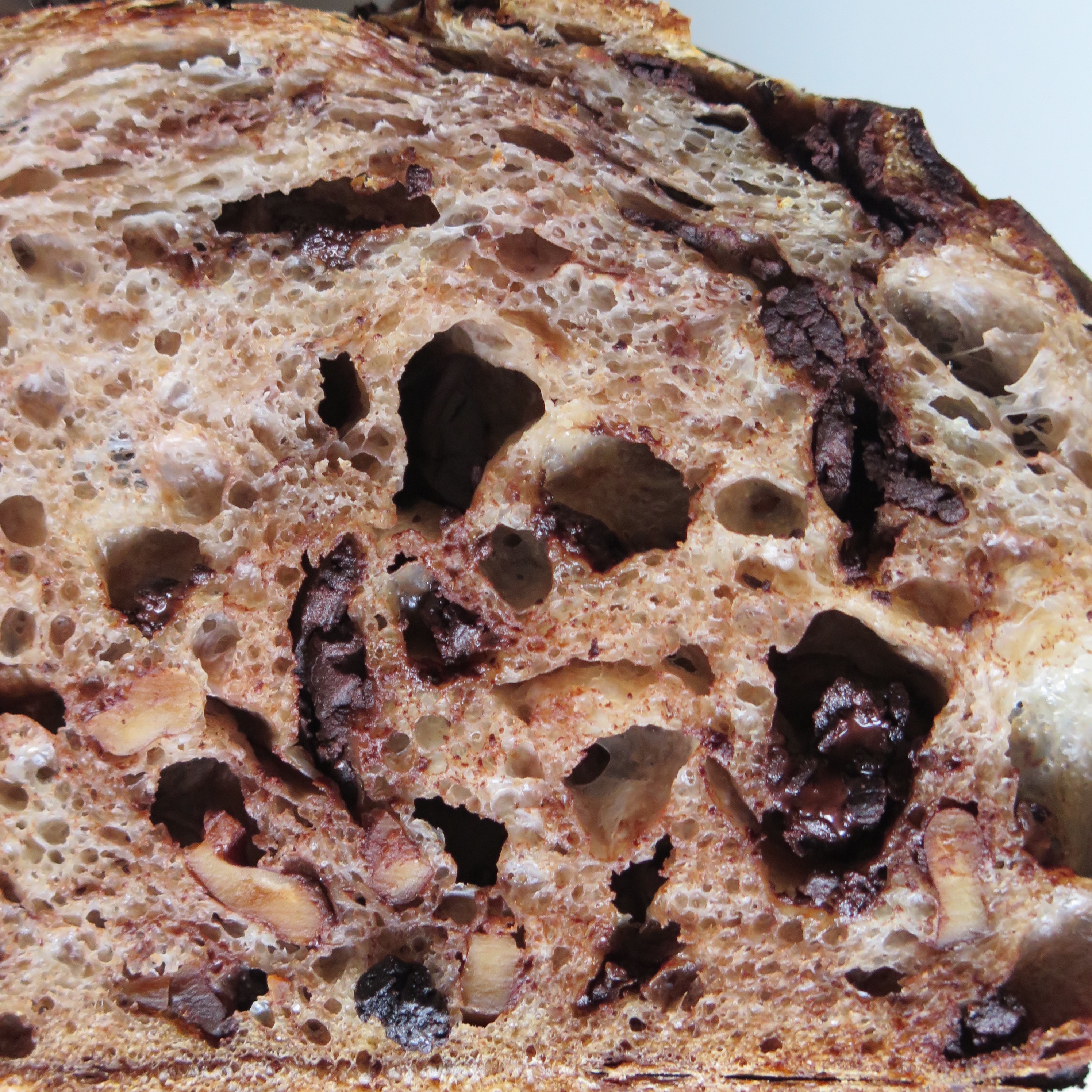 Ⓥ Bitter-Bitter Triple Chocolate Cranberry Sourdough