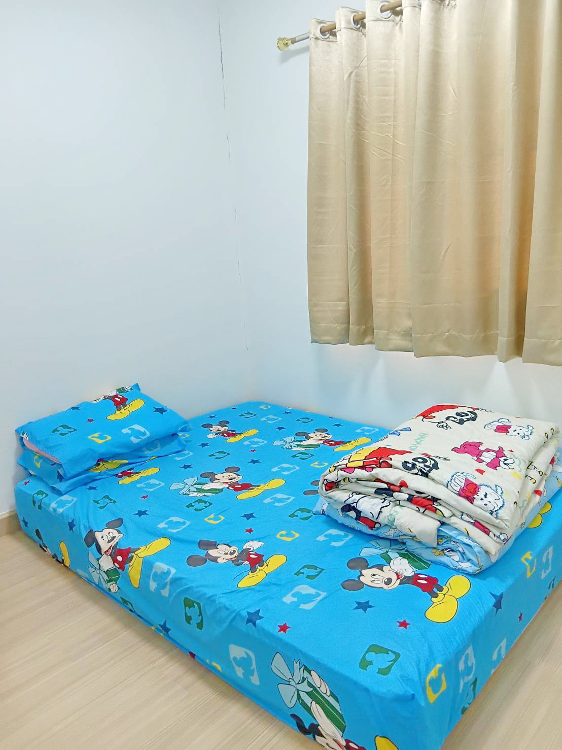 ขาย ทาว์เฮาส์ 2 ชั้น เพชรเกษม 69