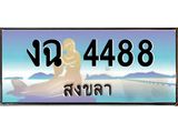 ทะเบียนรถสวย 4488 สงขลา งฉ 4488 หรูหราเหนือระดับ “งานหนัด