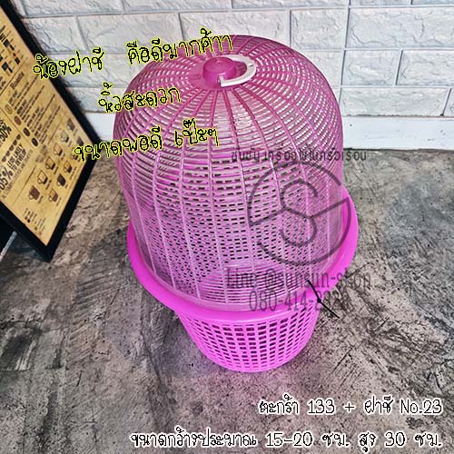 ตะกร้าใส่ต้นไม้