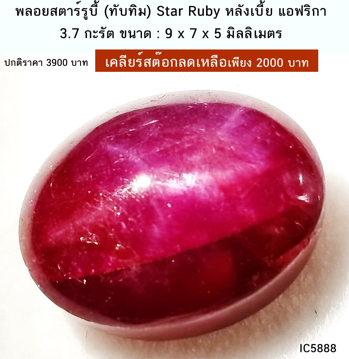พลอยสตาร์รูบี้ (ทับทิม) Star Ruby หลังเบี้ย แอฟริกา (3,7 กะรัต) หินแท้ อัญมณีมงคล
