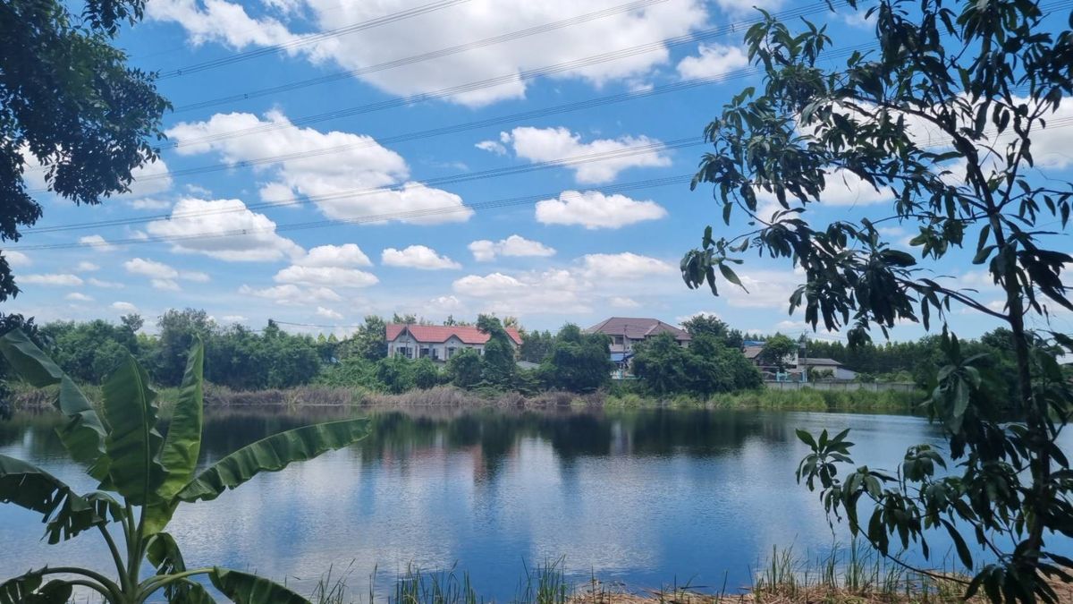 ให้เช่า บ้านเดี่ยว: สวยมากใกล้ สารสาร์ทบางบัวทอง