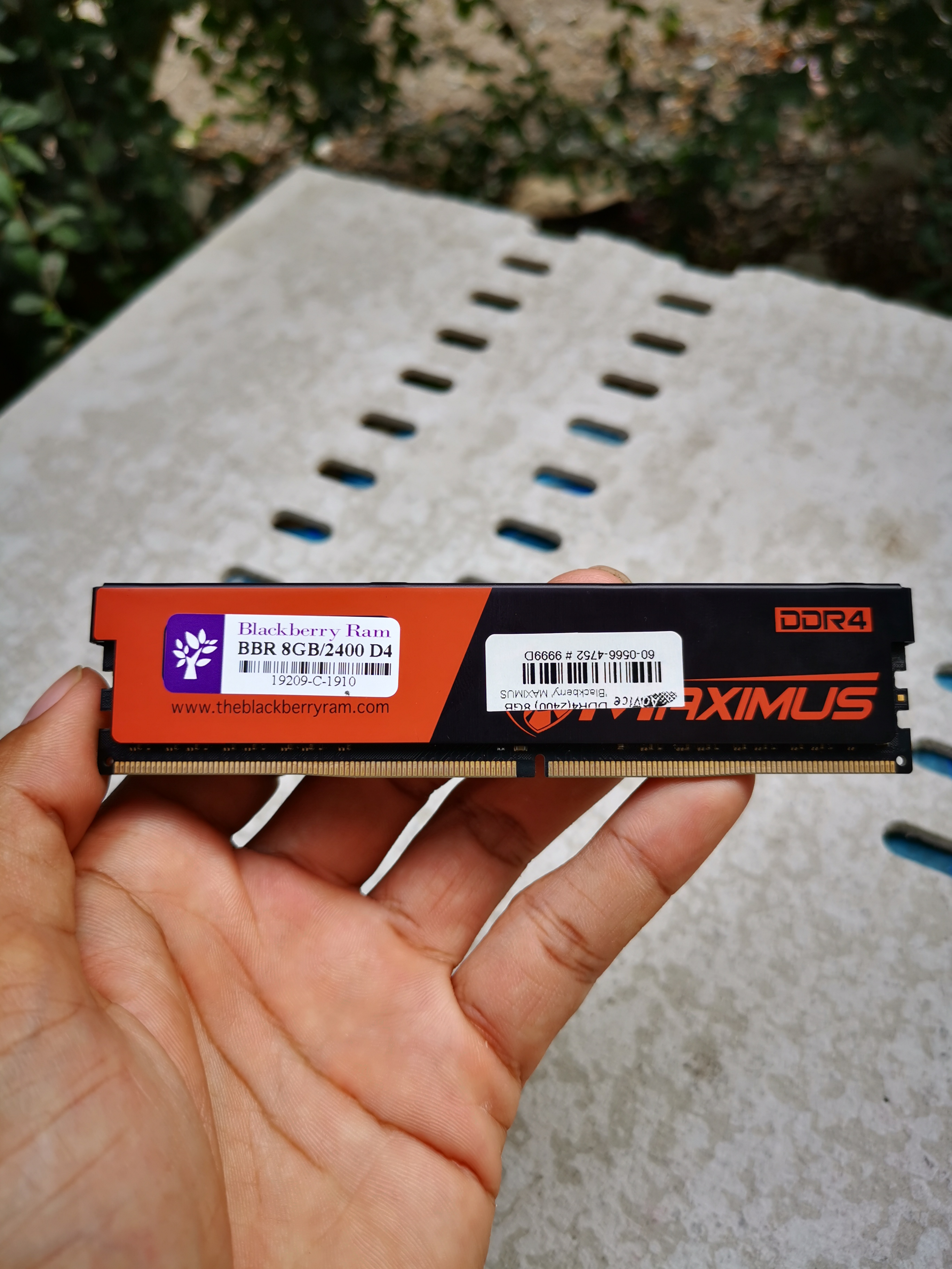 Ram BlackBerry DDR4 8G/2400