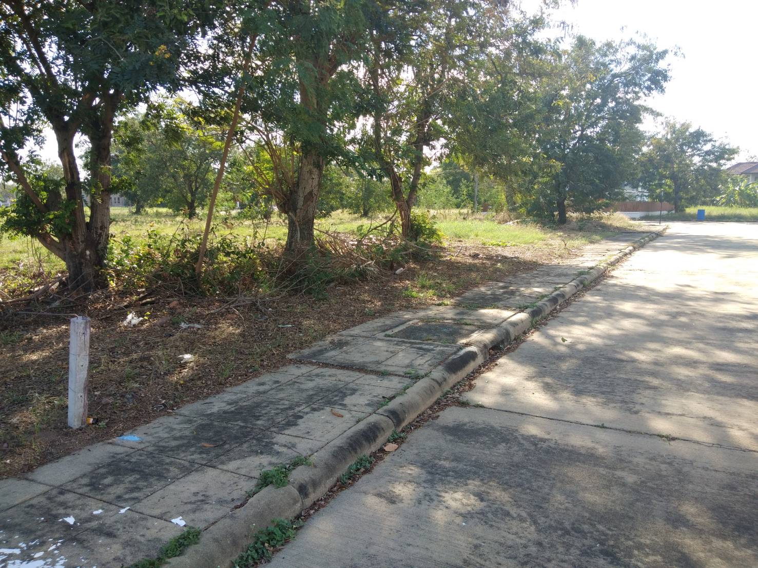 ขายที่ดินเปล่า เหมาะสร้างบ้านเดี่ยว สามโคก