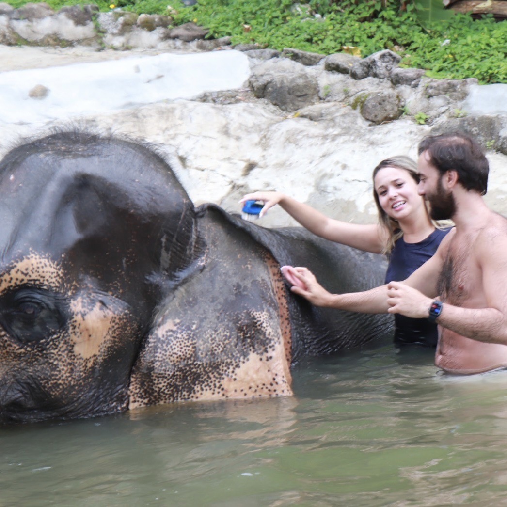 Elephant Care 3 Hours