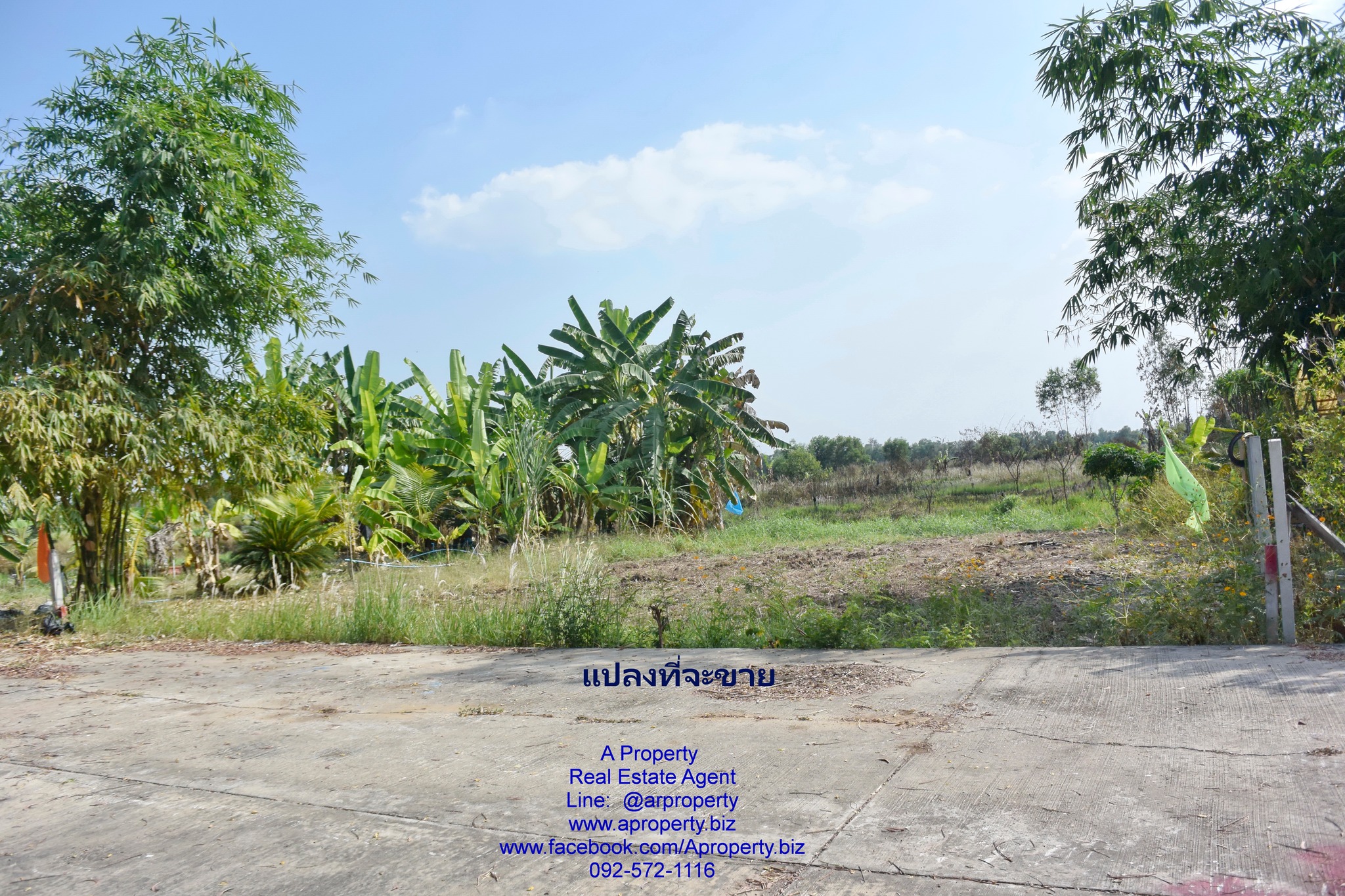 ขายที่ดินเปล่า ต. บึงกาสาม หนองเสือ ปทุม ถูกมาก เหมาะสร้างที่อยู่อาศัย