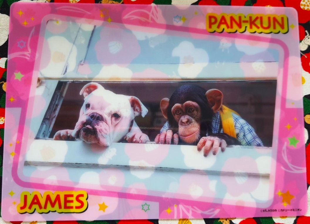 JAMES PAN-KUN ขำกลิ้งลิงกับหมา แผ่นรองเขียน / แผ่นรองตัด แผ่นรองอเนกประสงค์ จากญี่ปุ่น Size : 25 x 18 cm ปังคุง & เจมส์ ของแท้จากญี่ปุ่น