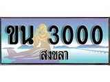 เลขทะเบียนรถ 3000 - ทะเบียนสวย เหมาะจดใส่รถของคุณ –ขน 3000