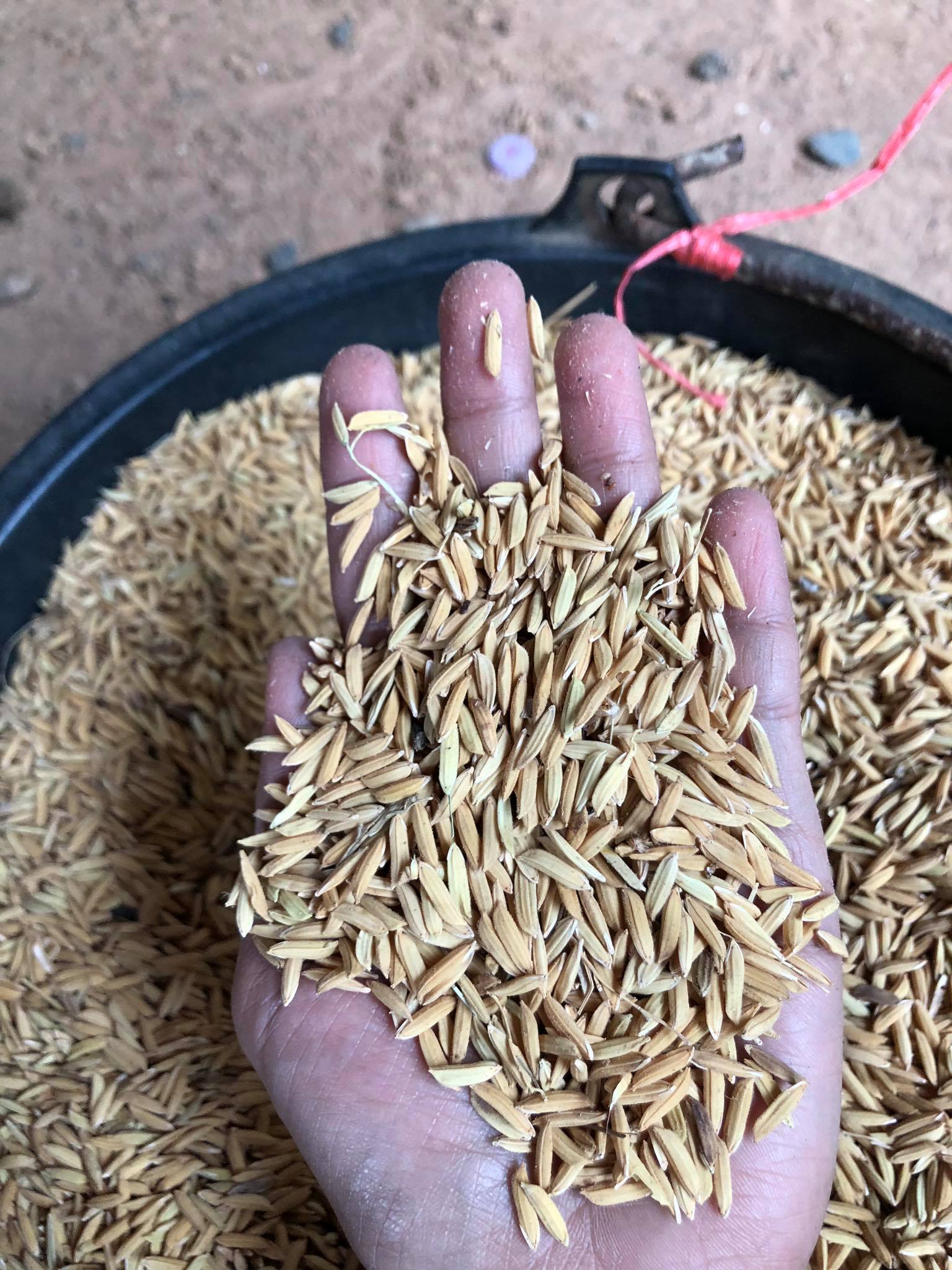 เครื่องสีข้าว