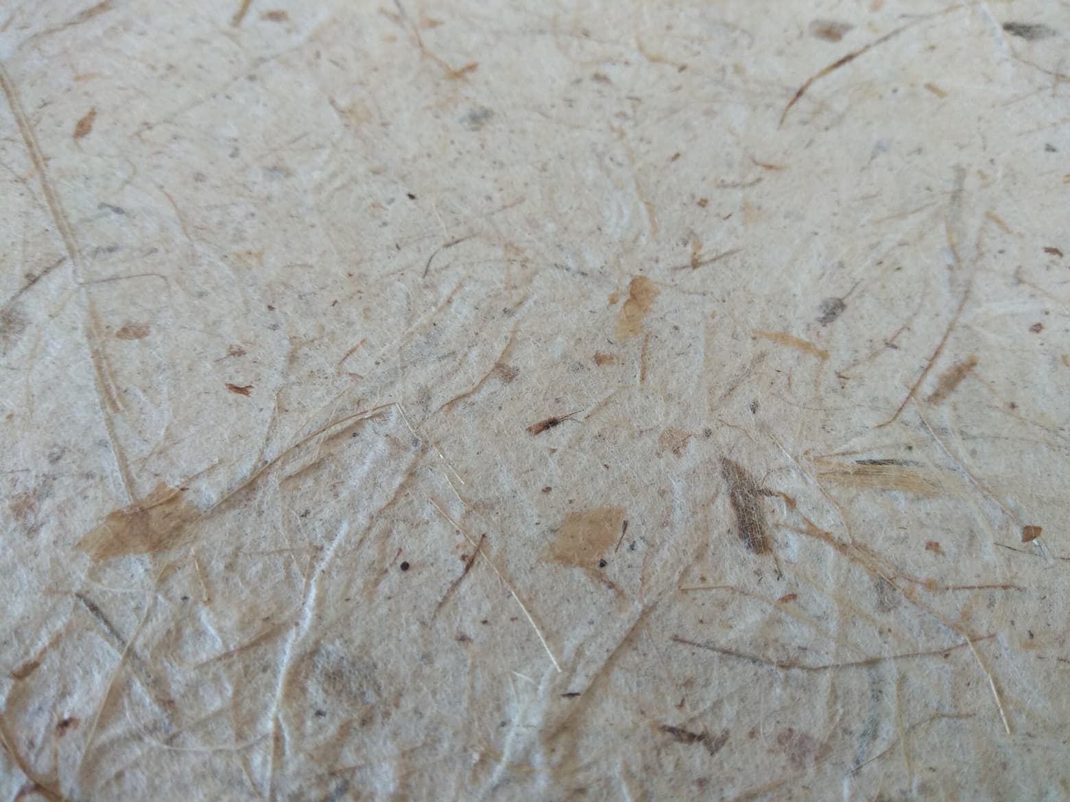 กระดาษใยกล้วย