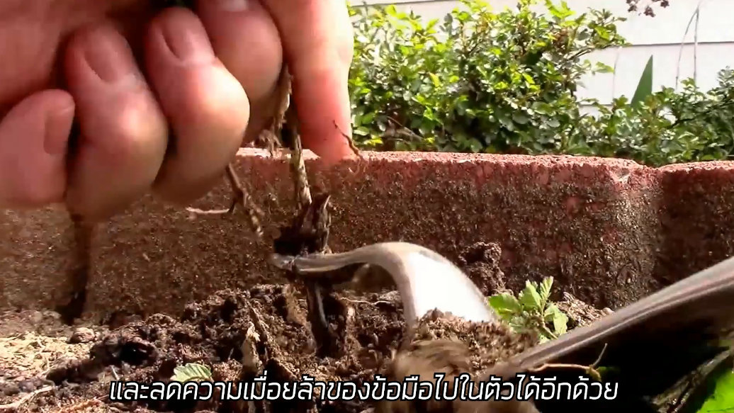 Handweeder ไม้กำจัดวัชพืช