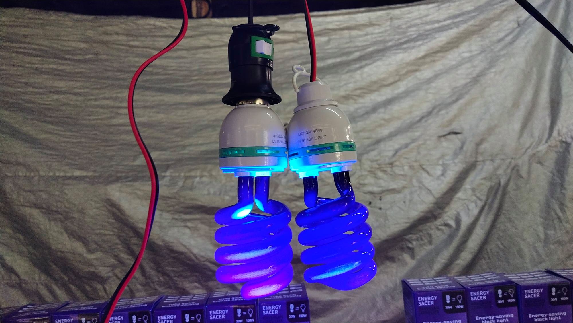 หลอดแมลงแท้ ใช้แบต 12V และ ใช้ไฟบ้าน 220V