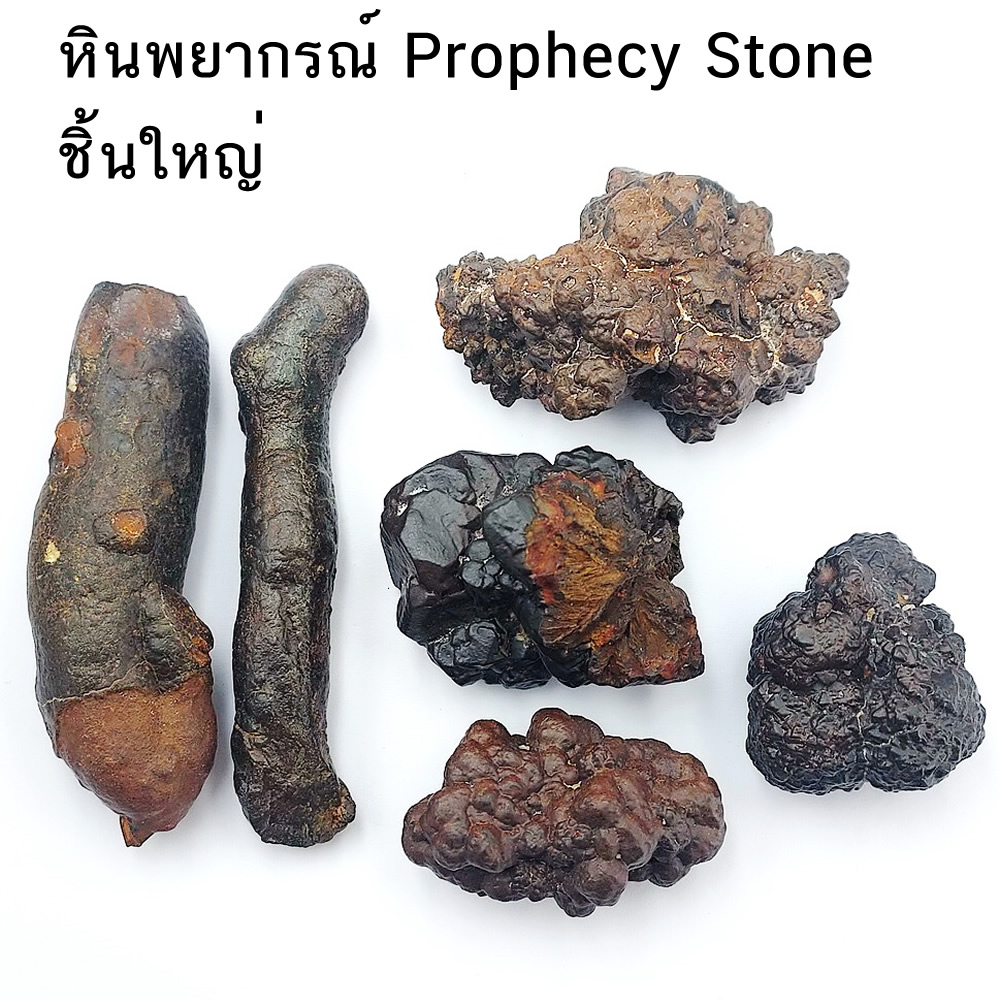 หินพยากรณ์ , พรอฟฟีซี สโตน (Prophecy Stone-Hematite After Marcasite) ชิ้นใหญ่เลือกชิ้นได้