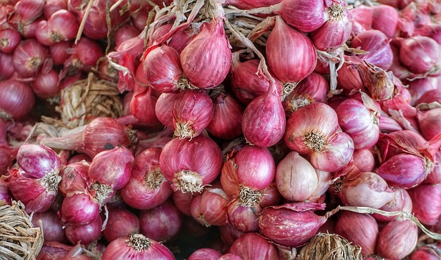 Shallot Powder 100% (หอมแดงผง 100%)