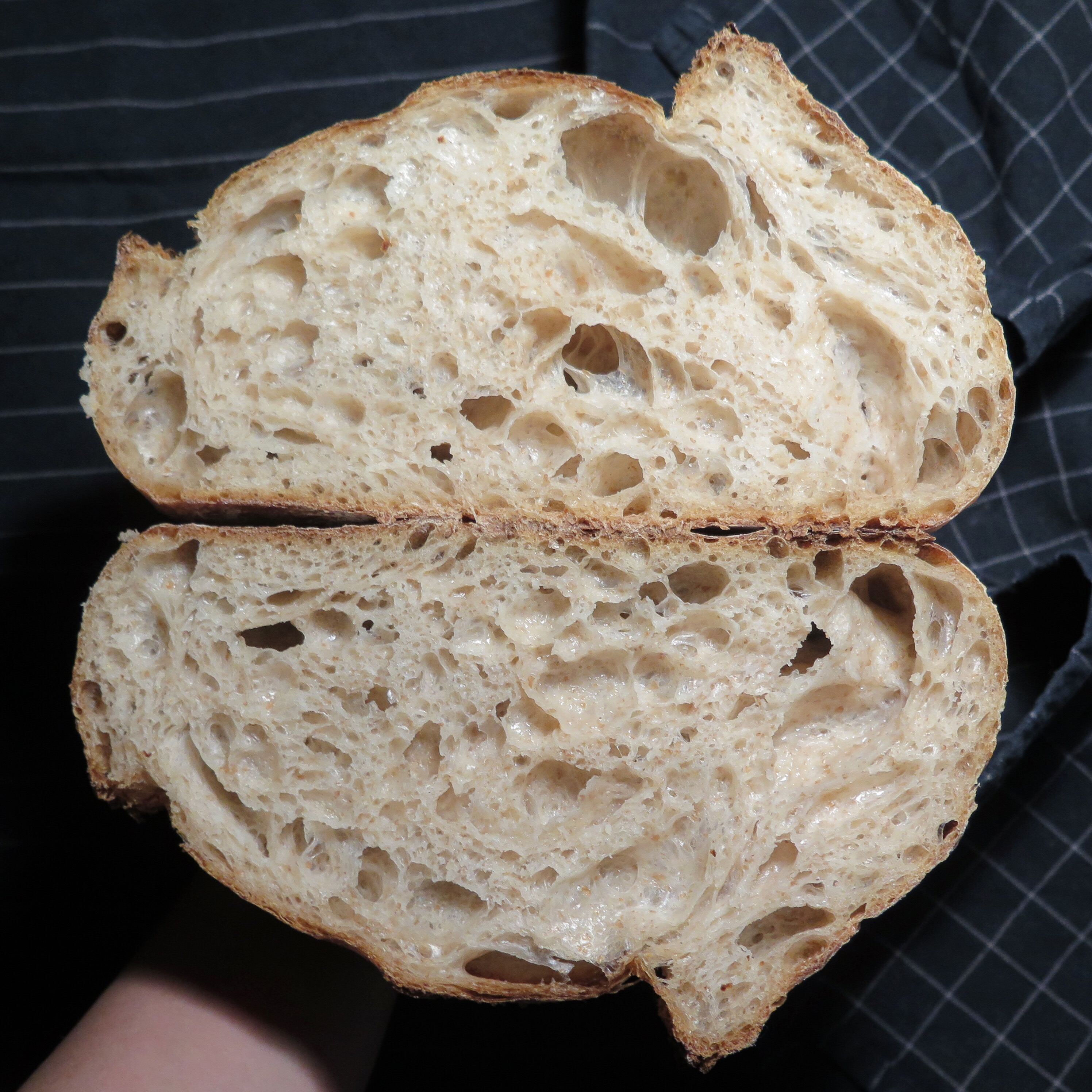 Ⓥ Country Sourdough (16% Whole Wheat, Vegan)