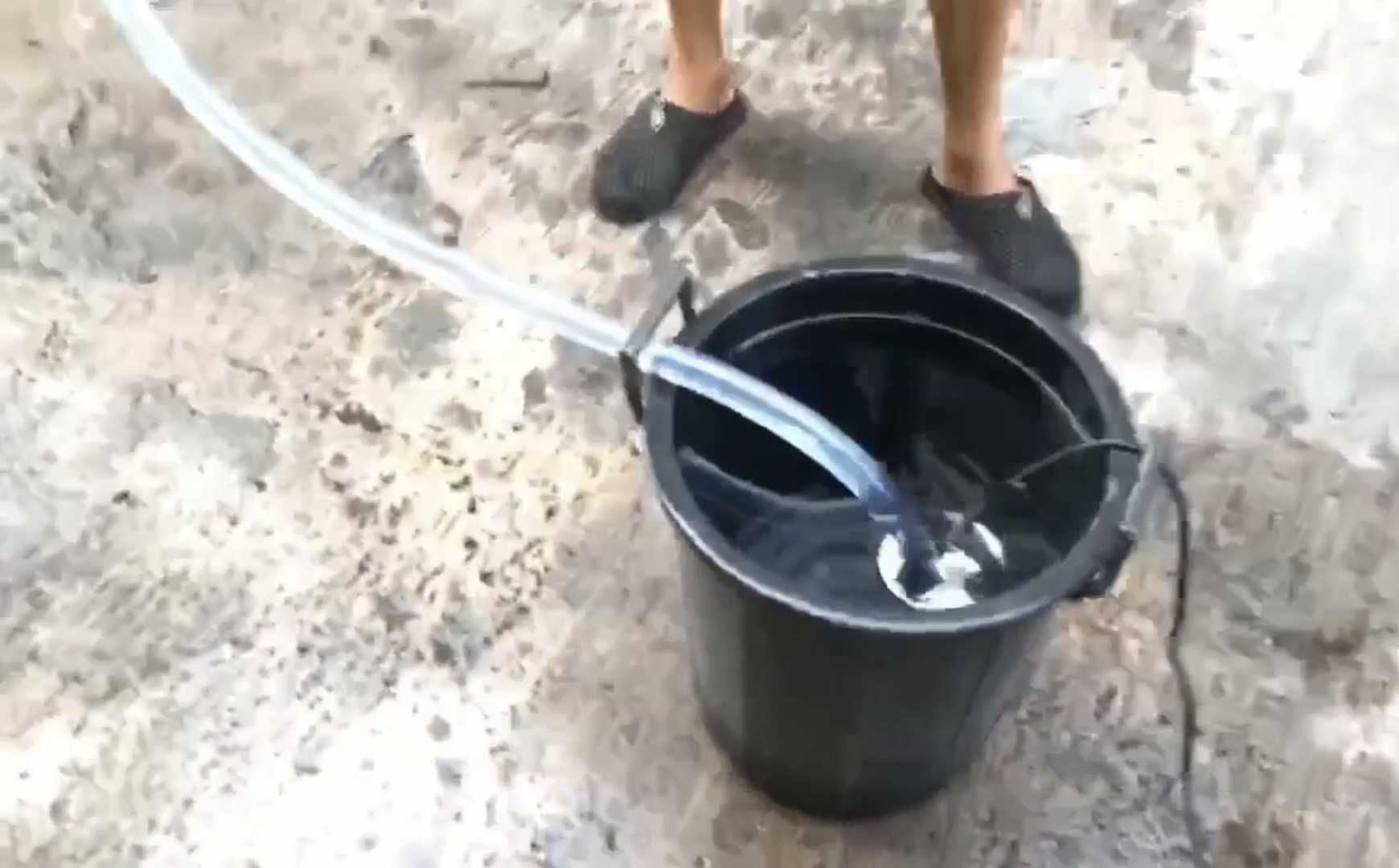 ไดโว่ ดูดน้ำ ดูดส้วม ยี่ห้อ Tayo ขนาด 1 นิ้ว ตัวเล็ก เส้นผ่าศูรย์กลางตัวปั๊ม 4.5 นิ้