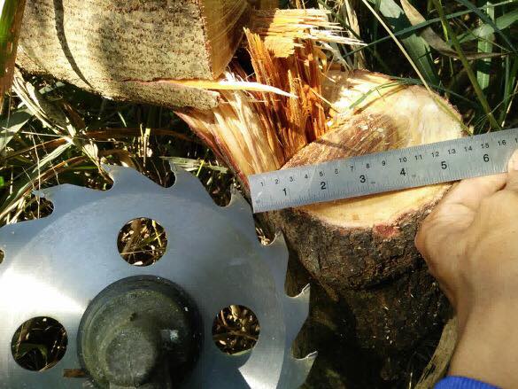 ใบเลื่อยตัดไม้ MARTEC ใบตัดไม้ ใส่เครื่องตัดหญ้า