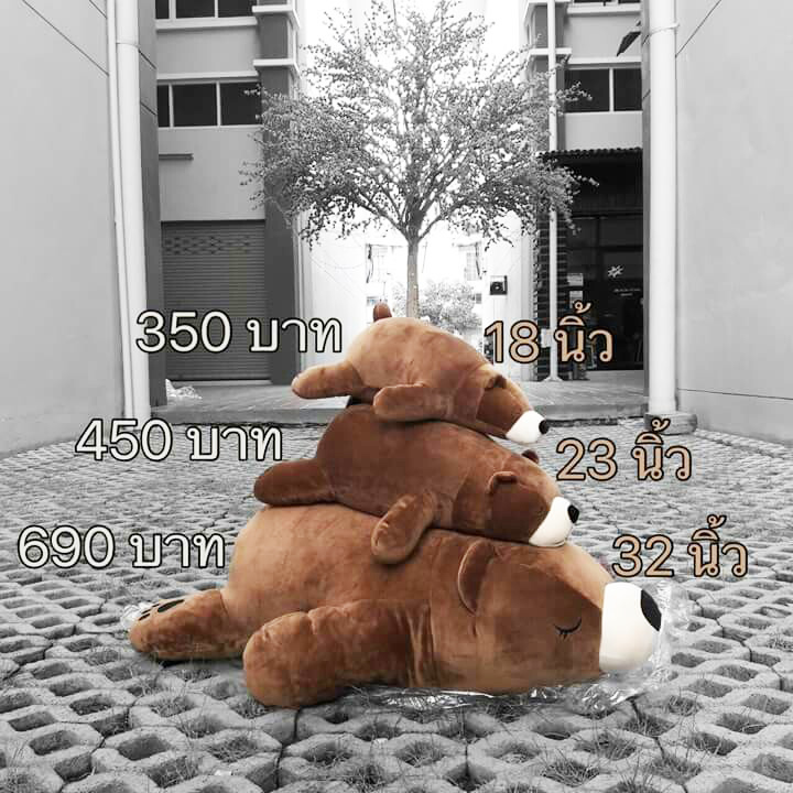 ตุ๊กตาหมีขี้เซา